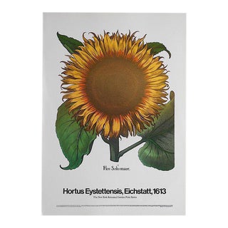 Vintage Poster Lithograph - Basilius Besler For Sale