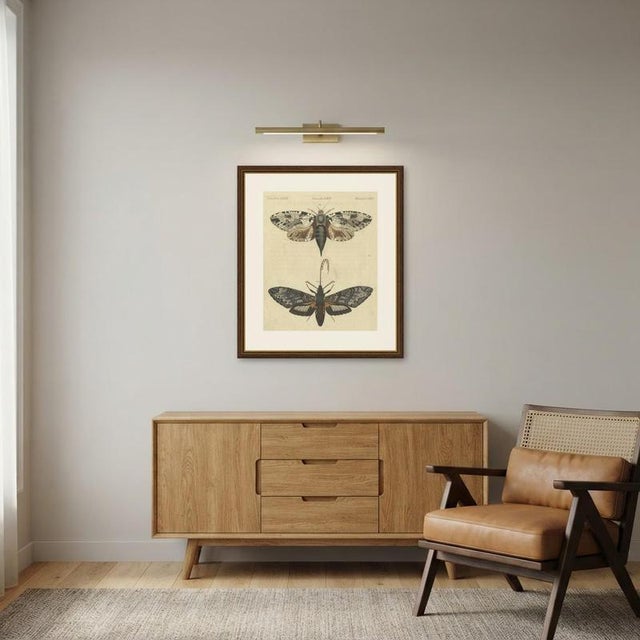 Bertuch, Two Large Exotic Moths, 1815, Print For Sale - Image 11 of 12