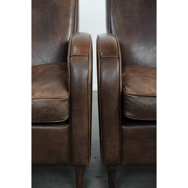 Club Chairs in Sheepskin Leather, Set of 2 For Sale - Image 10 of 18