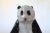 Ceramic Vintage Studio Pottery Panda Bear Figure For Sale - Image 7 of 8