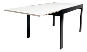 Extendable Dining Table from Pastoe, 1960s
