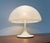 Mid-Century Modern Italian Space Age Table Lamp by Luigi Massoni for Guzzini, 1960s For Sale - Image 13 of 18