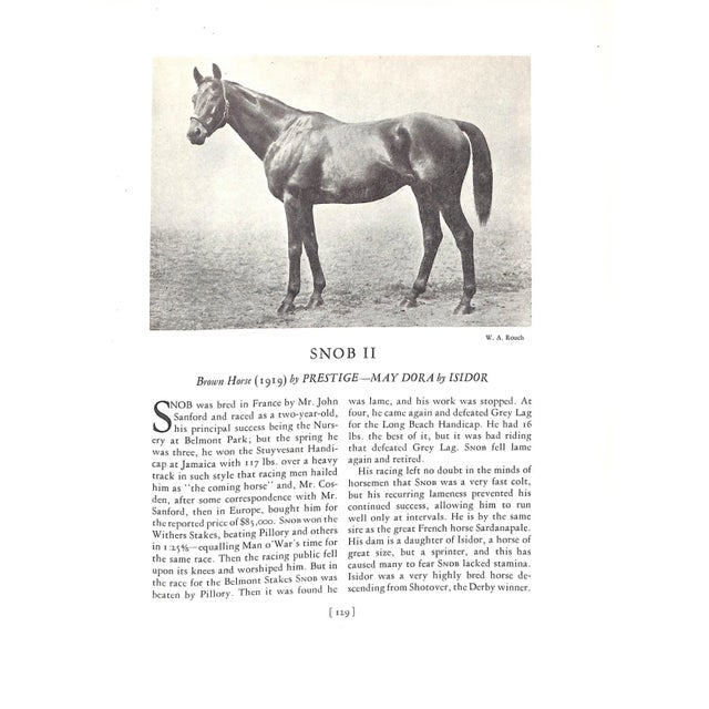"Thoroughbred Types 1900-1925: Race Horses, Steeplechasers, Hunters, and Polo Ponies" 1926 Vosburgh, w.s. For Sale - Image 12 of 12