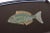Black Vintage Couroc Black Resin Inlaid "Fish" Tray For Sale - Image 8 of 12