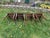 Wood Antique Luterma Estonian Dining Chairs With Patterned Seats, Set of 4 For Sale - Image 7 of 18