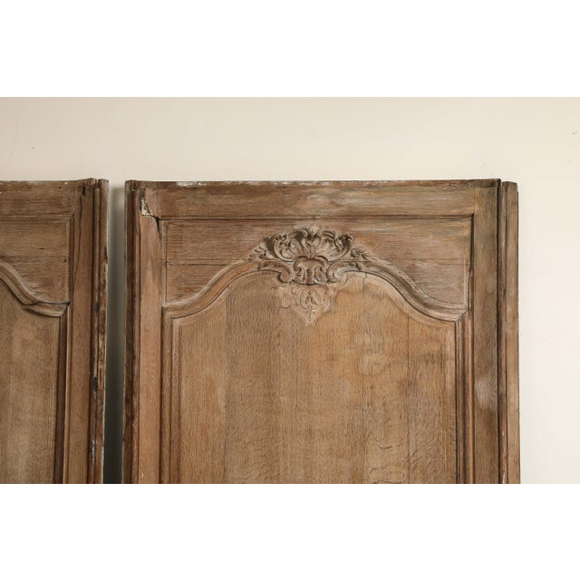 French Pair of 19th Century Antique French Carved Oak Panels, C. 1880 For Sale - Image 3 of 13