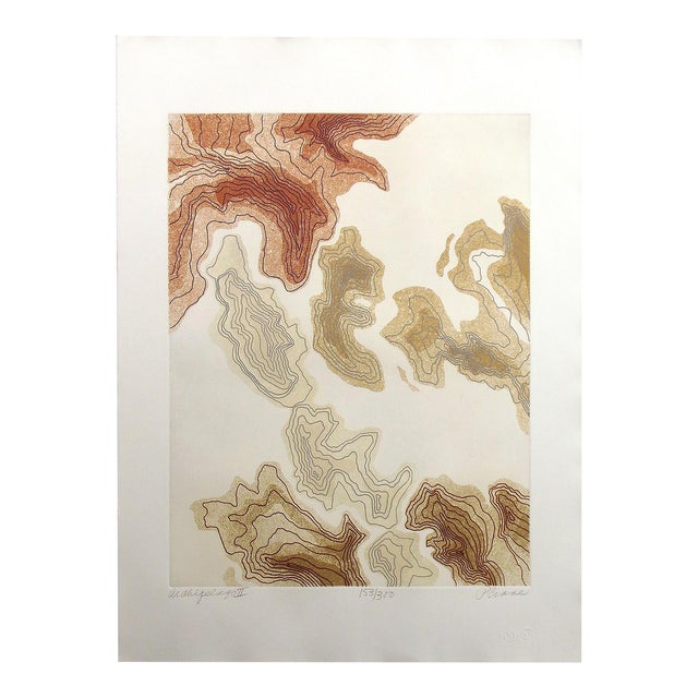 Paula Crane "Archipelago Ii" Hand Signed & Numbered Artwork Etching For Sale
