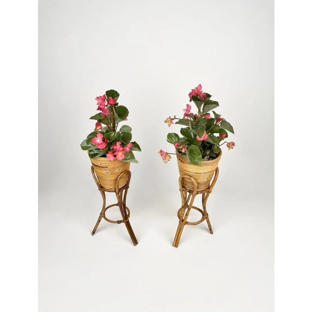 Wood Mid-Century Planters in Rattan & Bamboo, Italy, 1960s, Set of 2 For Sale - Image 7 of 13