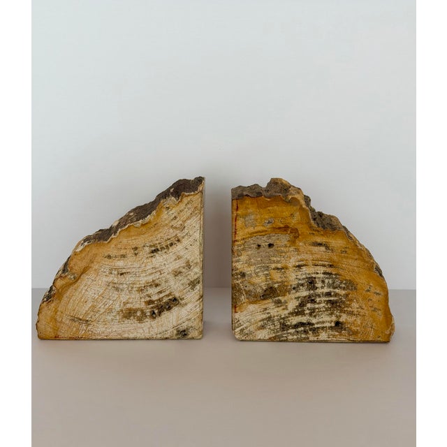 Vintage Sculptural Petrified Wood Bookends - A Pair For Sale - Image 4 of 11
