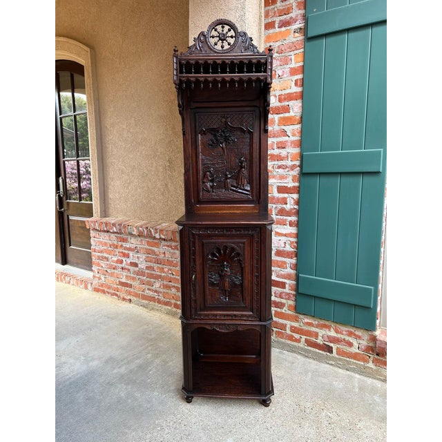 Antique French Breton Hall Cabinet Tall Narrow Carved Crown Bookcase C1880 For Sale - Image 13 of 18