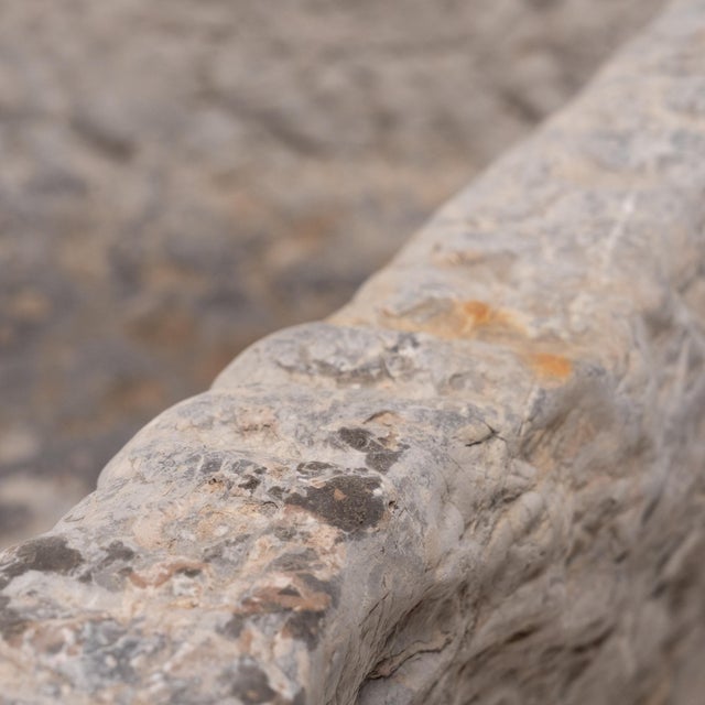 Stone Chinese Diamond Stone Trough, C. 1850 For Sale - Image 7 of 7