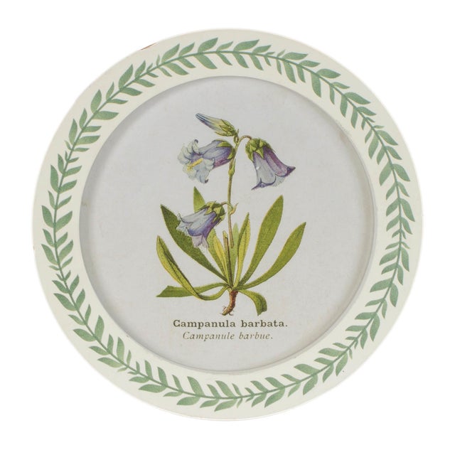 2020s Round Framed Encyclopedia Floral Print (Set of 6) For Sale - Image 5 of 7