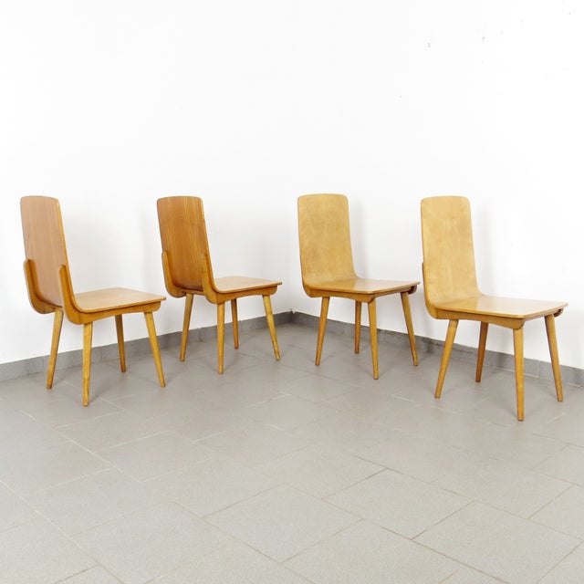 Dining Chairs, 1960s, Set of 4, in Very Good conditions. Designed 1960 to 1969
