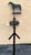 Black Early 20th Century Antique American Iron Horse Weathervane, Nashville Tn For Sale - Image 8 of 13