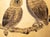 "Owl Family" by Shunko, Late Showa Painted Japanese Byobu Screen For Sale - Image 9 of 18