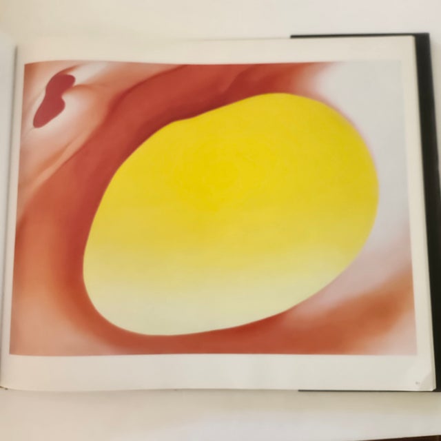 Photography Vintage Georgia O'Keefe Coffee Table Book Art Book For Sale - Image 7 of 12