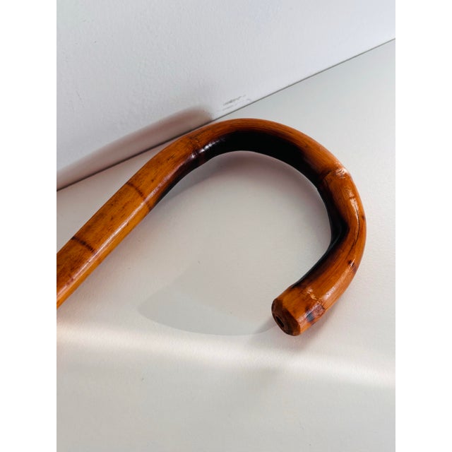 1930s Vintage Burnt Bamboo Cane/Walking Stick For Sale In Atlanta - Image 6 of 6