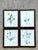Vintage Botanical Herbarium Prints in Wood Frames - Set of 4 For Sale - Image 11 of 13