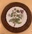 Rustic European Chelsea Plates Botanical Design by Mottahedeh for Metropolitan Museum of Art - Set of 4 For Sale - Image 3 of 12