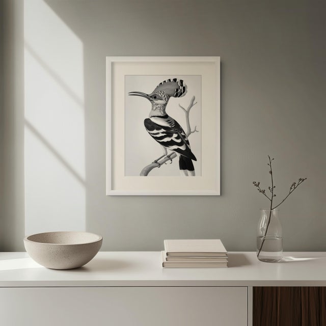 Black-and-White Hoopoe Bird Illustration — Museum-quality fine art print reproducing an antique 19th-century natural...