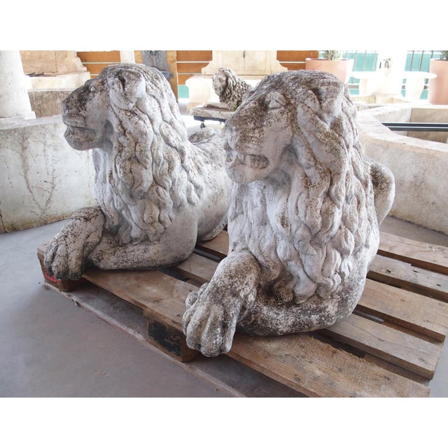 Stone Pair of Recumbent Reconstituted Stone Garden Lions From Belgium, Circa 1960 For Sale - Image 7 of 12
