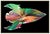Abstract Expressionism Rocket Spin, Damien Hirst For Sale - Image 3 of 7