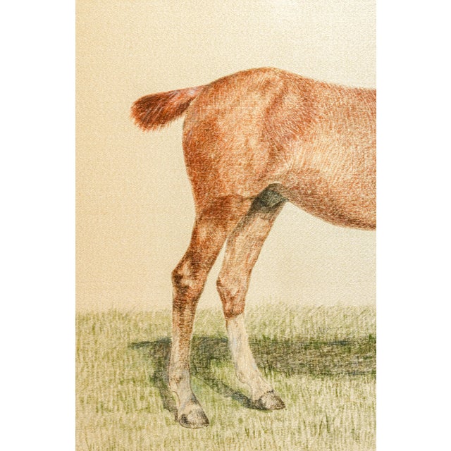Rare Pair Antique English Horse Portraits on Silk Hand Painted Equestrian Sporting Art Home Decor For Sale - Image 11 of 17