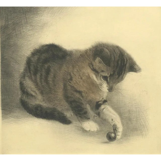 Paper Kurt Meyer-Eberhardt, Kitten Playing with a Marble, 1977, Estate Print For Sale - Image 7 of 10