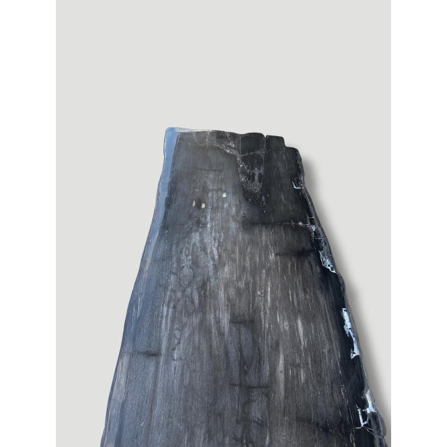 Andrianna Shamaris Exquisite High Quality Petrified Wood Dining Table Or Console For Sale - Image 14 of 18