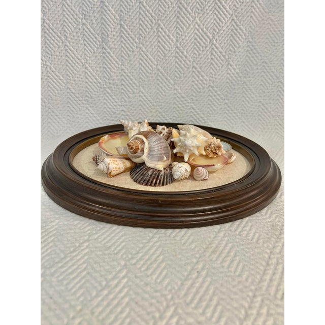 Wood Vintage 1960’s Coastal Sailors Valentine Shell Wall Art – Real Seashell Collage on Linen in Oval Wood Frame For Sale - Image 7 of 8