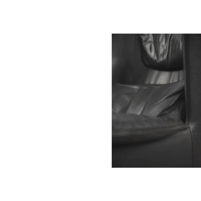 Leather DS-23 Wing Chair by Franz Josef Schulte for de Sede, 1980s For Sale - Image 15 of 18