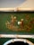 Two Piece English Chinoiserie Wall Shelf and Console For Sale - Image 12 of 14