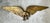 Vintage Gold Painted Metal Eagle Wall Sculpture For Sale In West Palm - Image 6 of 17
