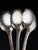 Christofle Silver-Plated Garden of Eden Cutlery Service for 12 from Christofle et Cardeilhac, Set of 100 For Sale - Image 3 of 18