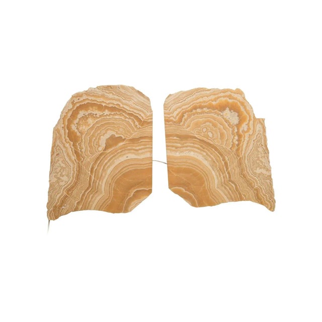 2010s Phillips Collection Onyx Butterfly Sconce For Sale - Image 5 of 5