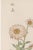 A refined example of late 19th-century Japanese botanical illustration, this vintage art print reproduction features Daisy...