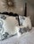 Set of 3 Pillows. Two Oversized Ankasa Embroidered Euro Pillows With 1 Coordinating Lumbar – For Sale In Atlanta - Image 6 of 12