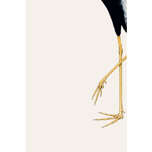 Japanese Crane Study Ii, Original Print, 32" X 48" For Sale - Image 4 of 9