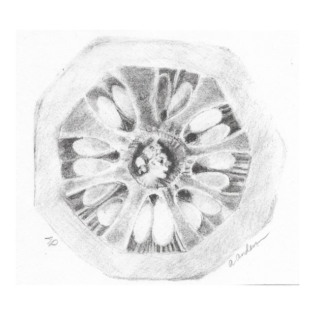 1970s Adrienne Anderson Fruit Portrait Lithograph For Sale