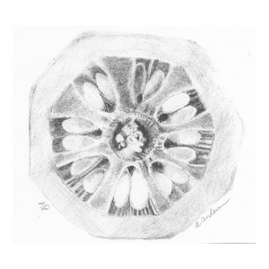 1970s Adrienne Anderson Fruit Portrait Lithograph