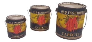 Carrot Canister Containers - Set of 3