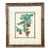 Custom Framed Needlepoint Embroidery of Botanical Red Berry Branches & Bluebirds, Circa Late 20th Century For Sale