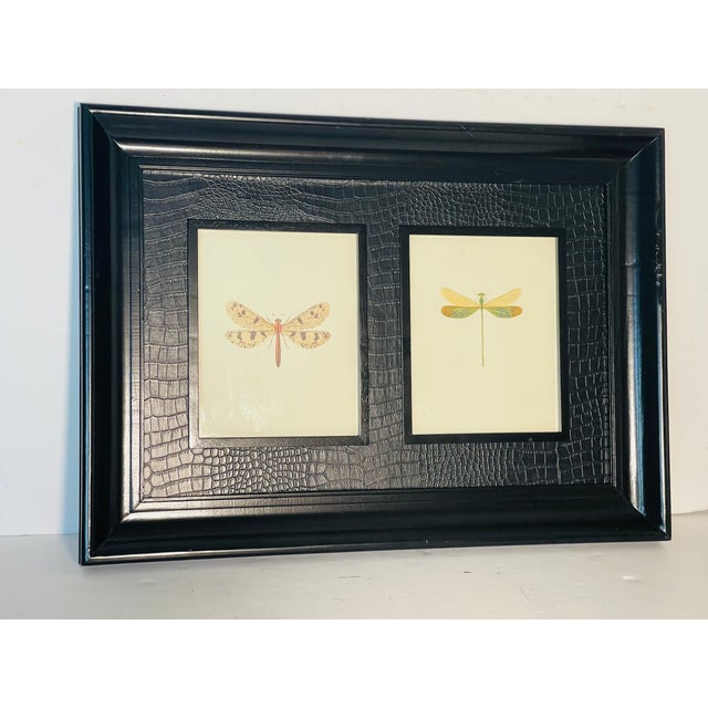Large double frame dragonflies Chromolithograph in wide embossed leather frame.