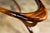 “Egg” Coffee Table in Caviuna Wood & Glass by Giuseppe Scapinelli, Brazil, 1950s For Sale - Image 9 of 15
