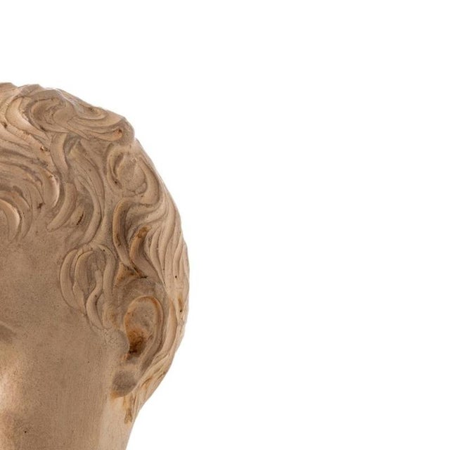 Earthenware Bust of a Boy, 19th Century For Sale - Image 4 of 6