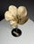 German Botanical Floral Model, 1900 For Sale - Image 12 of 18