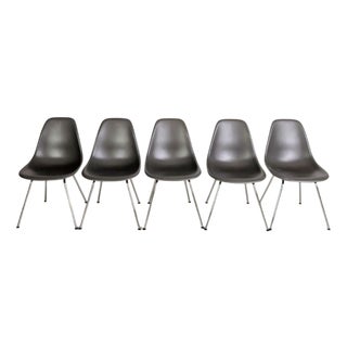 Grey Side Chairs by Charles & Ray Eames for Vitra, Set of 5 For Sale