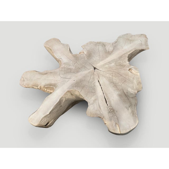 Andrianna Shamaris Amorphous Bleached Teak Wood Coffee Table For Sale - Image 14 of 18