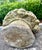 Cast Stone Flower Basket Sculpture Garden Ornament Mid 20th Century For Sale - Image 18 of 18