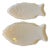 Fish Dishes from Revol, 1970s, Set of 2 For Sale